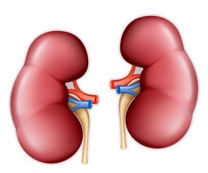Kidney Cyst Decortication by OrangeCountySurgeons